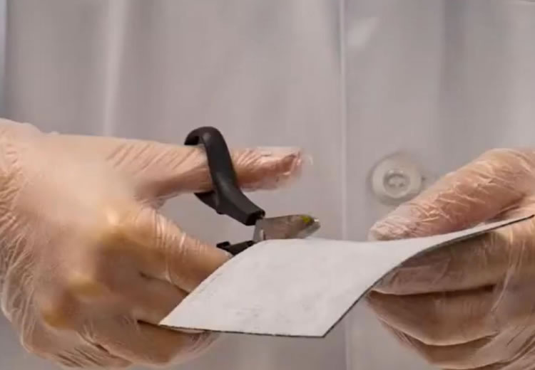 Chitin-based Mucosal Repair Products