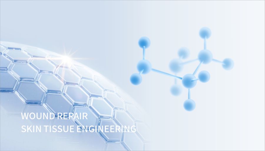 1. Expertise in Skin-care & wound care medical device.